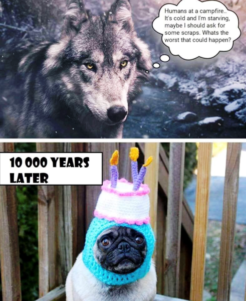 What's the worst that could happen?